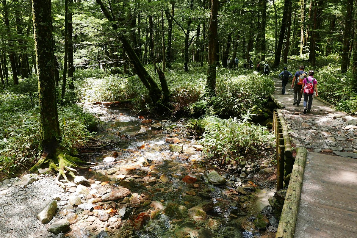 🌳 신들의 놀이터(카무이 헤치리코호) 이미지 4